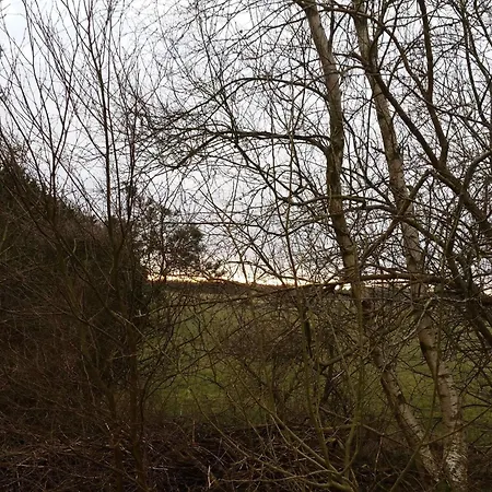 Enchanting Forest Retreat-by Traum Ferienhaus Nørre Nebel