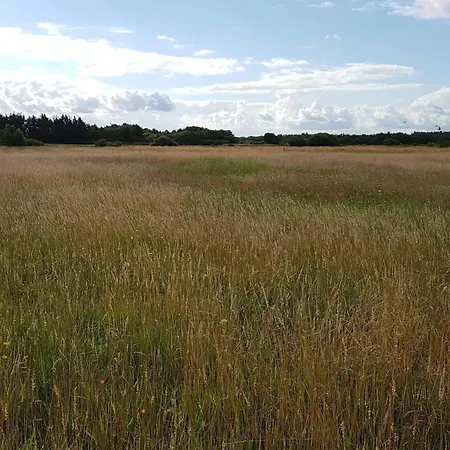 Enchanting Forest Retreat-by Traum