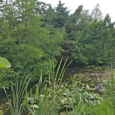 Dom wakacyjny Enchanting Forest Retreat-by Traum Nørre Nebel