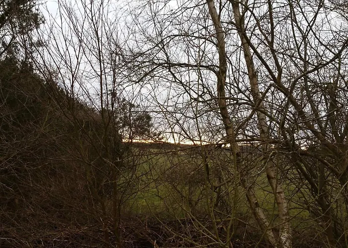 Enchanting Forest Retreat-by Traum Casa vacanze Nørre Nebel