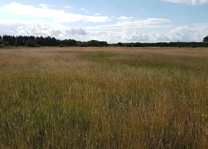 Enchanting Forest Retreat-by Traum