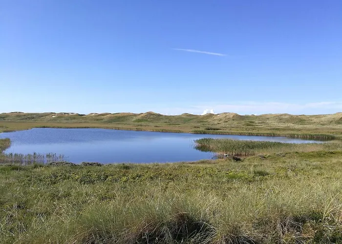 Enchanting Forest Retreat-by Traum Casa vacanze *