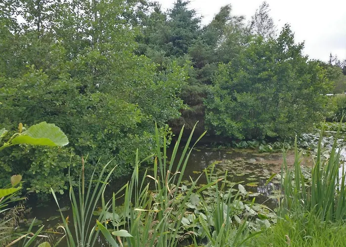 Casa vacanze Enchanting Forest Retreat-by Traum Nørre Nebel